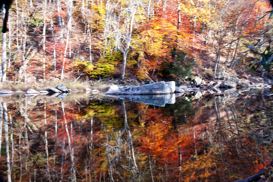 Fall Reflections Photograph by Robert Camp