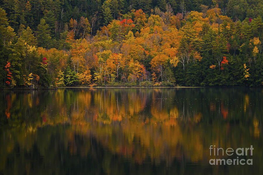 Fall Photograph - Fall reflections by Shishir Sathe