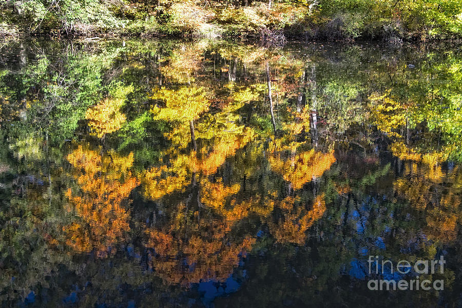 Fall Reflections Photograph by Timothy Hacker