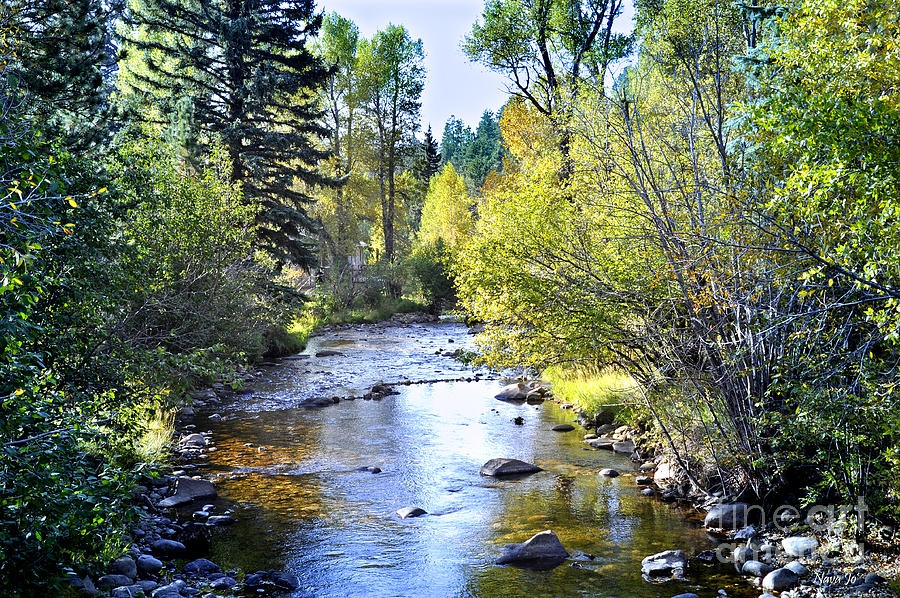 Fall River Colorado 3 Photograph by Nava Thompson