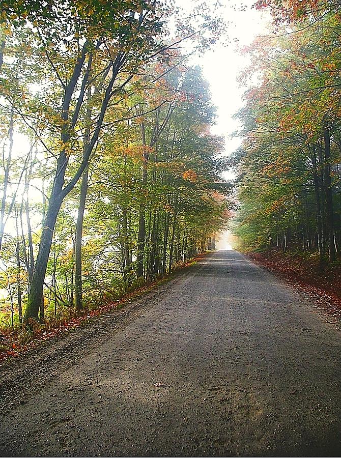 Fall Road Photograph by John Nielsen
