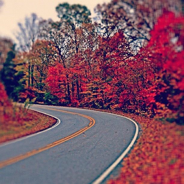 Fall Photograph - Fall Roads 🍁 #autumn#fall by Rebecca Woodcock