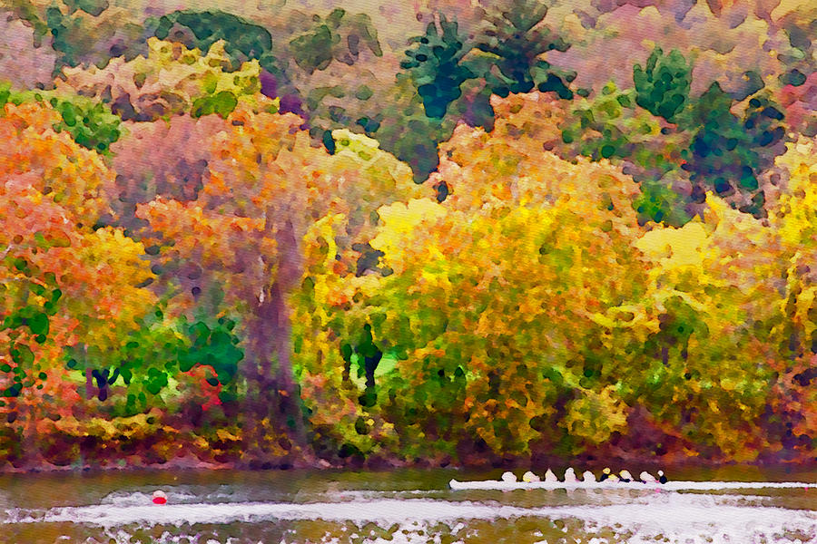 Fall Rowers Photograph by Alice Gipson