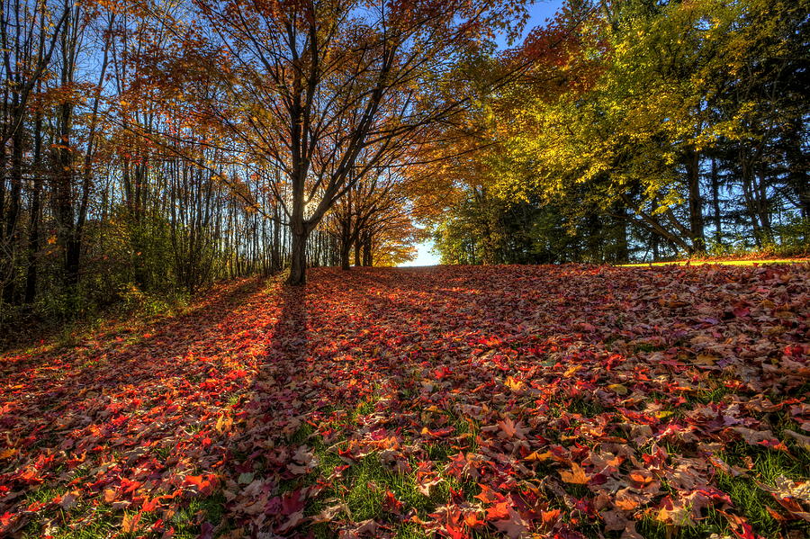 Fall Scene Photograph by David Dufresne