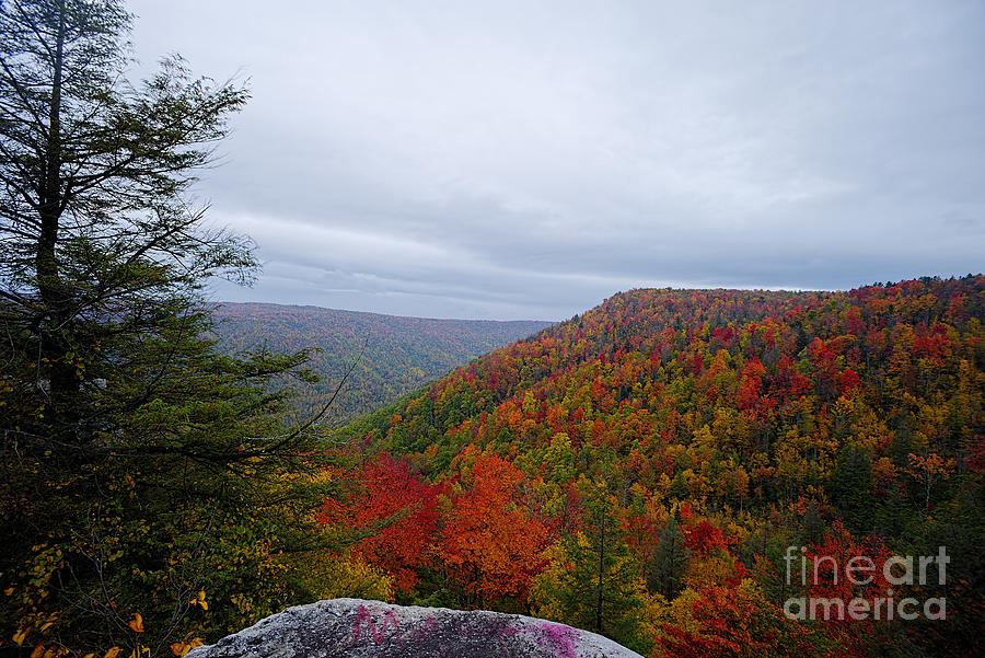 Fall scene from overlook near Thomas WV Photograph by Dan Friend
