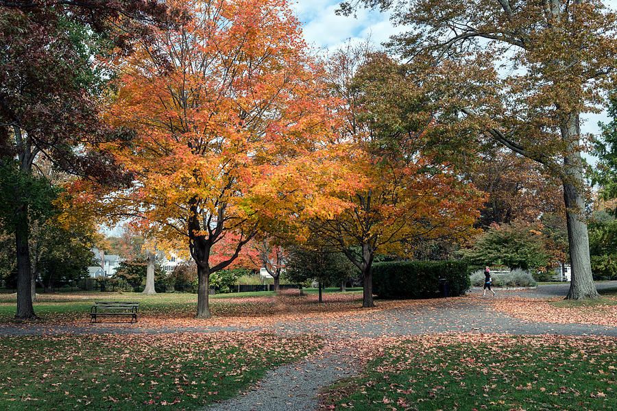 Fall scene in Ridgefield Connecticut Photograph by Carol M Highsmith