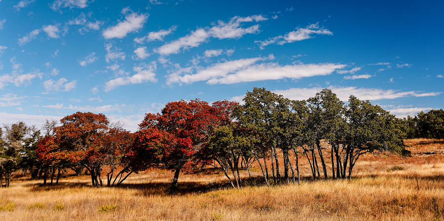 Fall Scene in the Texas Hill Country - Reimers Ranch Hamilton Pool Road - Texas Photograph by Silvio Ligutti