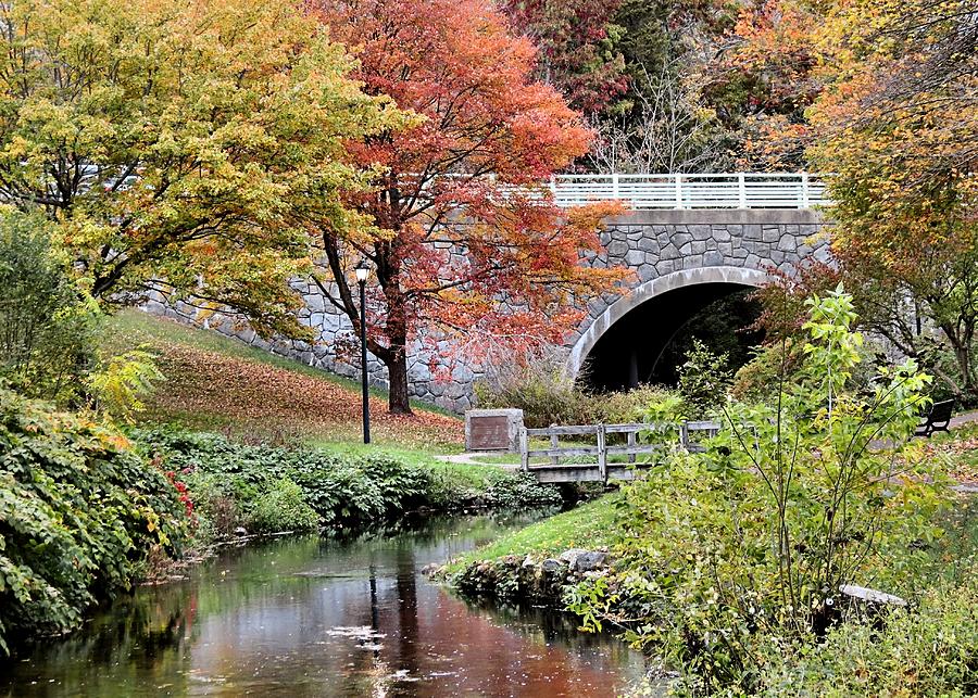 Fall Scene of Town Brook Photograph by Janice Drew