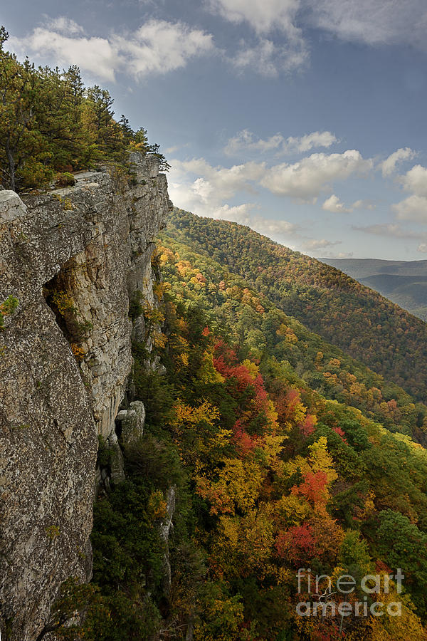 Fall scene on side of mountain Photograph by Dan Friend