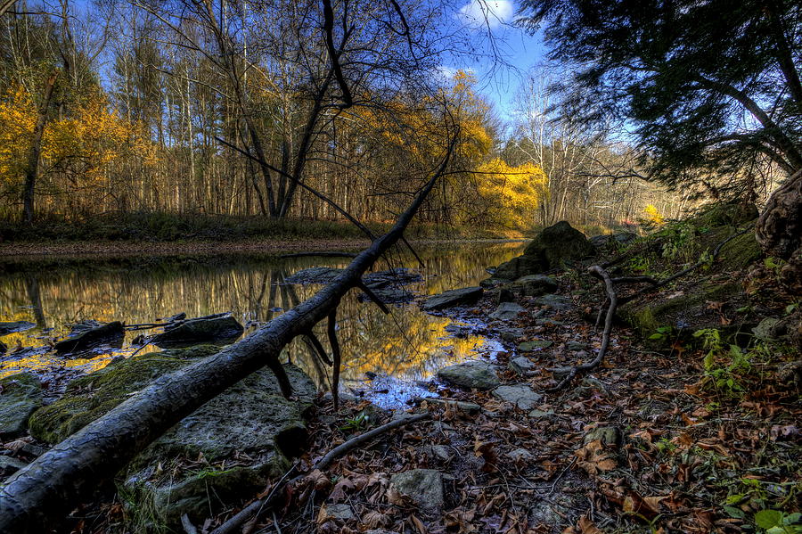 Fall Scenery on the River Photograph by David Dufresne