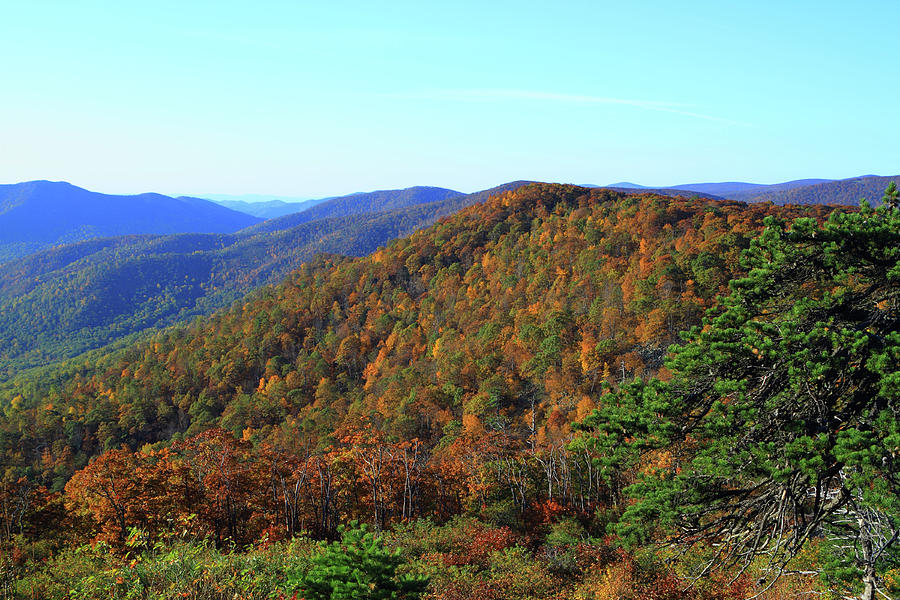 Fall Shenandoah Mountain Photograph by John Lan