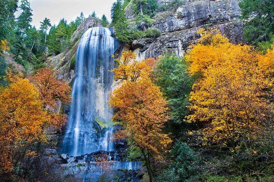 Fall Photograph - Fall Silver Falls by Robert Bynum