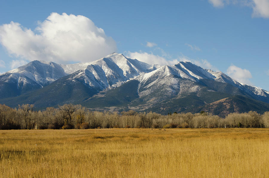 Fall Snow On Mount Princeton Photograph by Chapin31