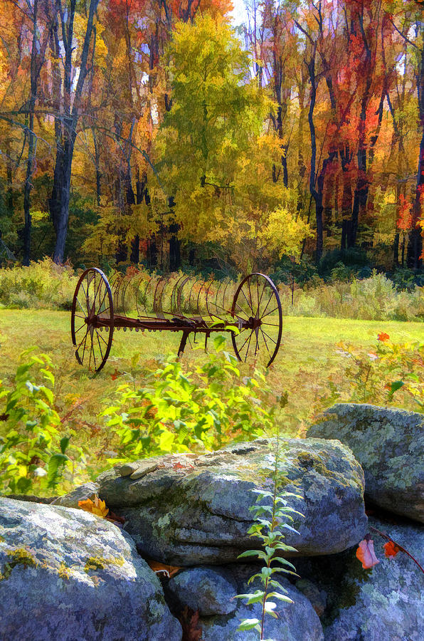 Fall Splendor Photograph by Donna Doherty