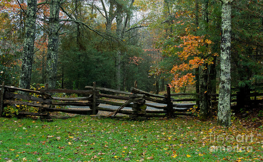 Fall Split Rail Fence Scenic Photograph by Ules Barnwell
