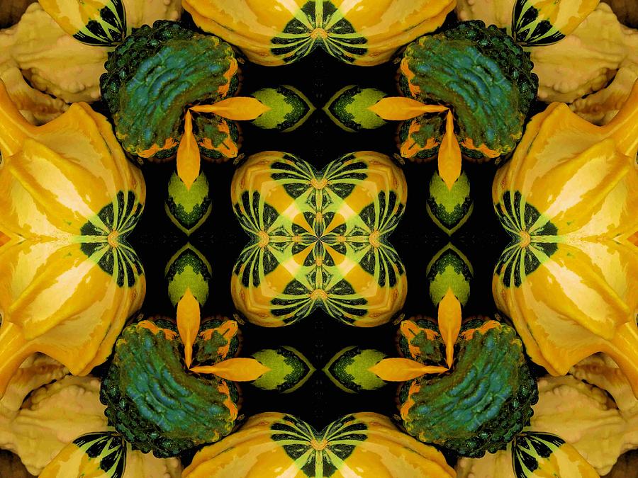 Abstract Photograph - Fall Squash Abstract by Diane Carlson