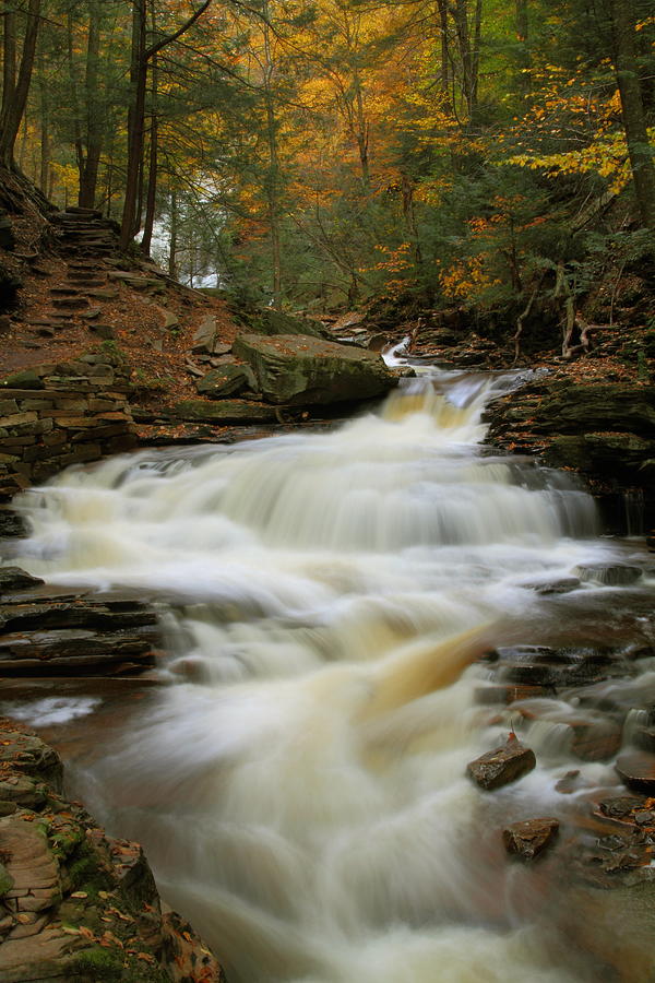 Fall stream at Ricketts Glen State Park Photograph by Jetson Nguyen