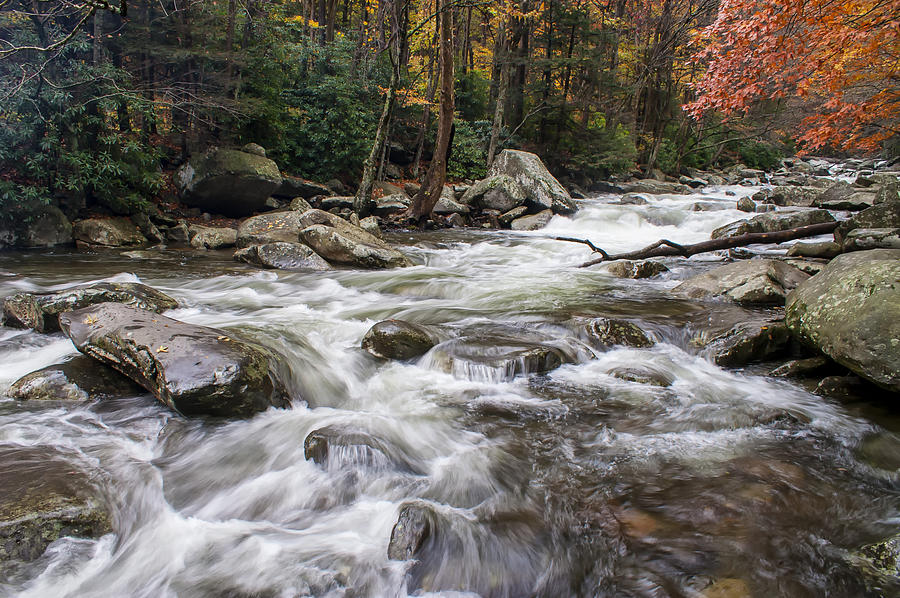 Fall Stream Photograph by Jim Dollar