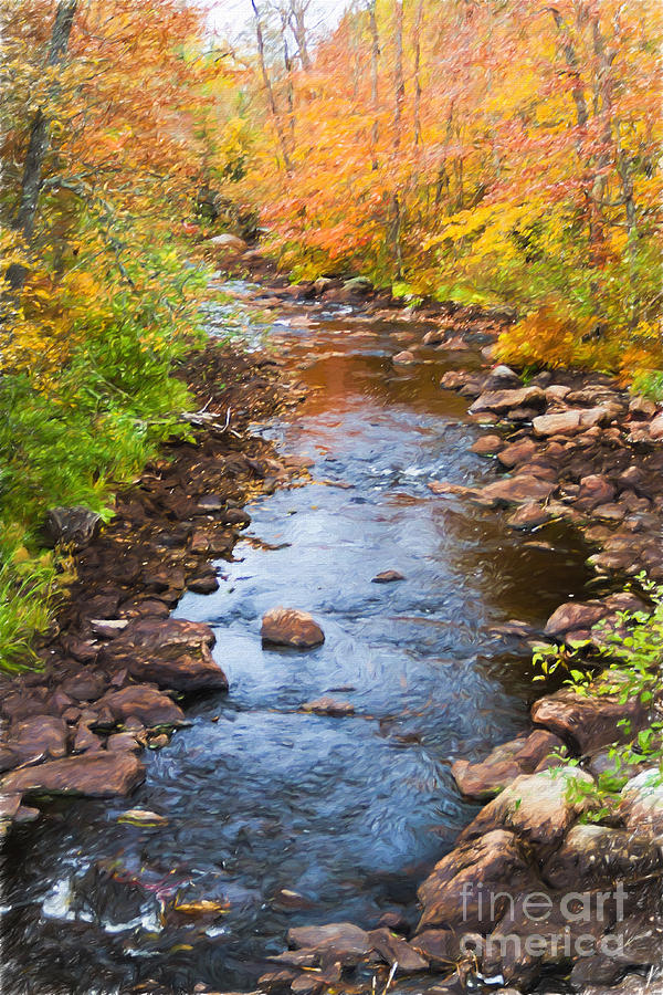 Fall Stream Photograph by Lori Dobbs