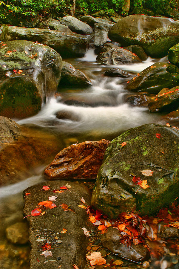 Fall Stream Photograph by Shari Jardina