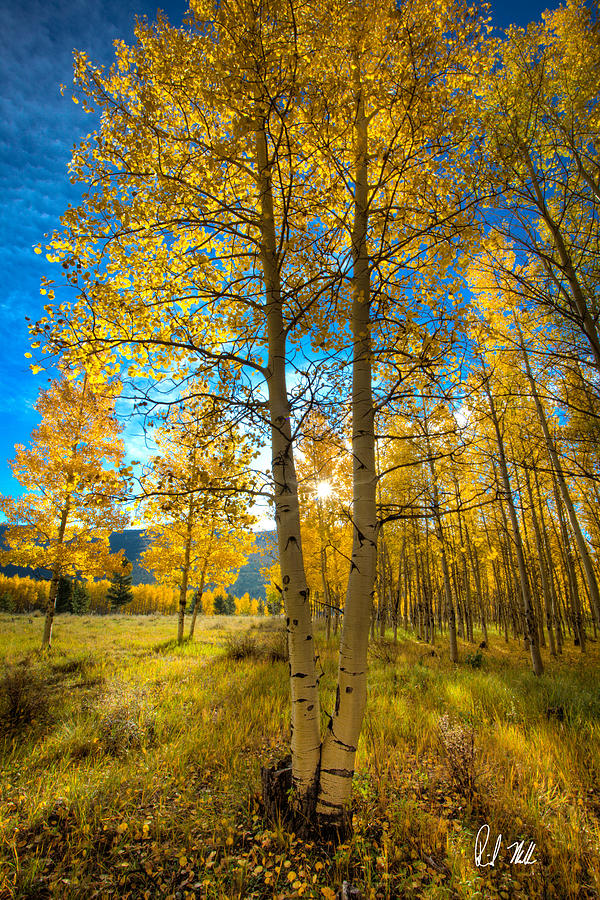 Fall Sunrise Photograph by Rick Machle | Fine Art America