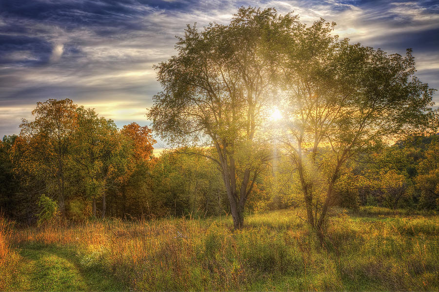 Fall sunset - Retzer Nature Center - Waukesha Wisconsin Photograph by Jennifer Rondinelli Reilly - Fine Art Photography