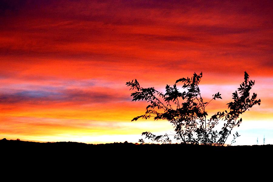 Fall Sunset  Photograph by Carlee Ojeda