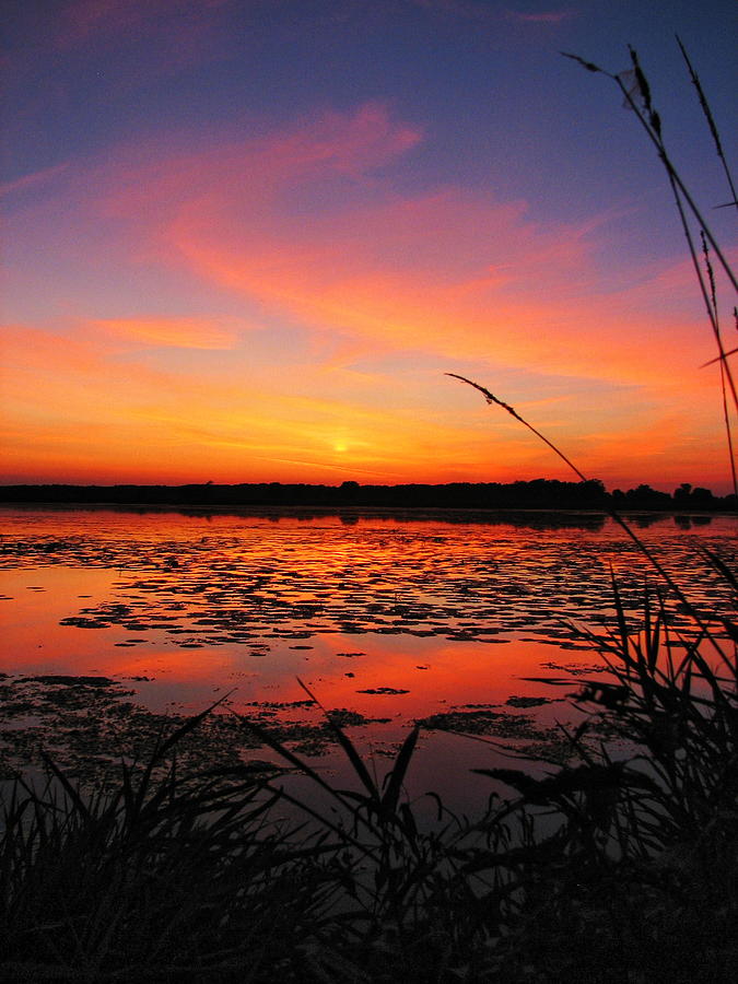 Fall Sunset in the Mead Wildlife Area Photograph by Dale Kauzlaric