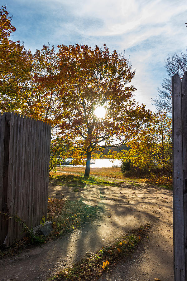 Fall Through the Gate Photograph by Kirkodd Photography Of New England