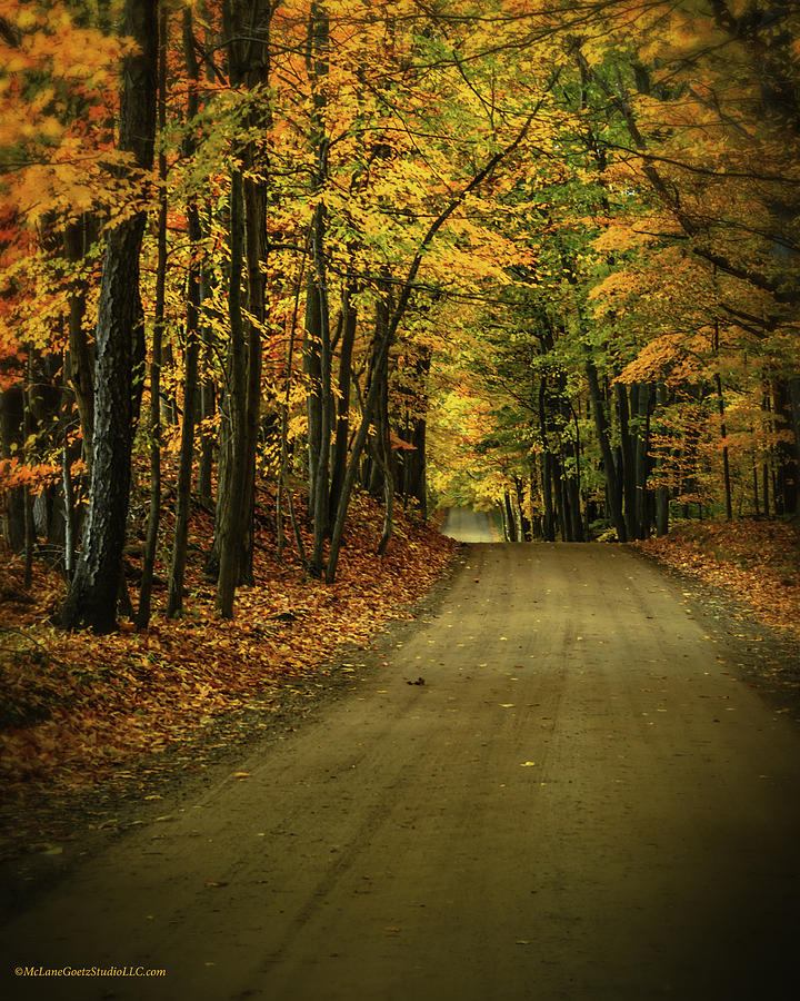 Fall Trails near Dryden Michigan Photograph by LeeAnn McLaneGoetz McLaneGoetzStudioLLCcom