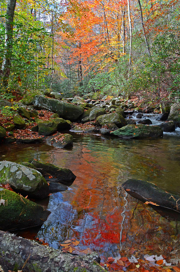 Jones Gap State Park Photograph - Fall Tranquility on the Middle Saluda River by Mary Anne Baker Jones Gap State Park Photograph - Fall Tranquility on the Middle Saluda River by Mary Anne Baker