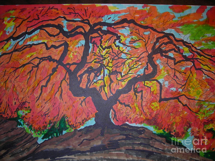 Fall Tree Drawing by Mike Dendinger - Fine Art America