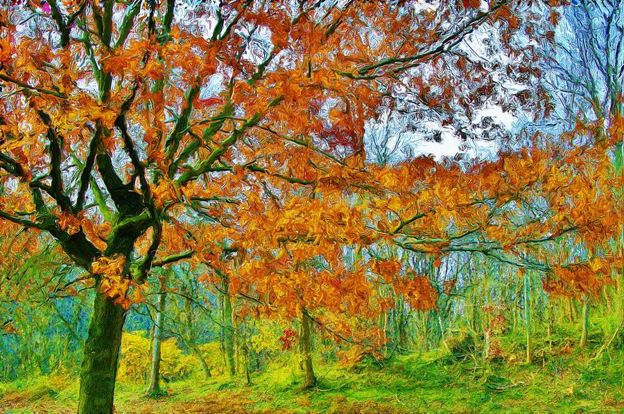 Fall Trees In Nature Painting by Susanna Katherine