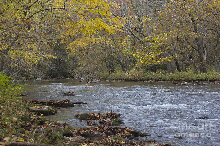 Fall Trout Stream Photograph by Ules Barnwell