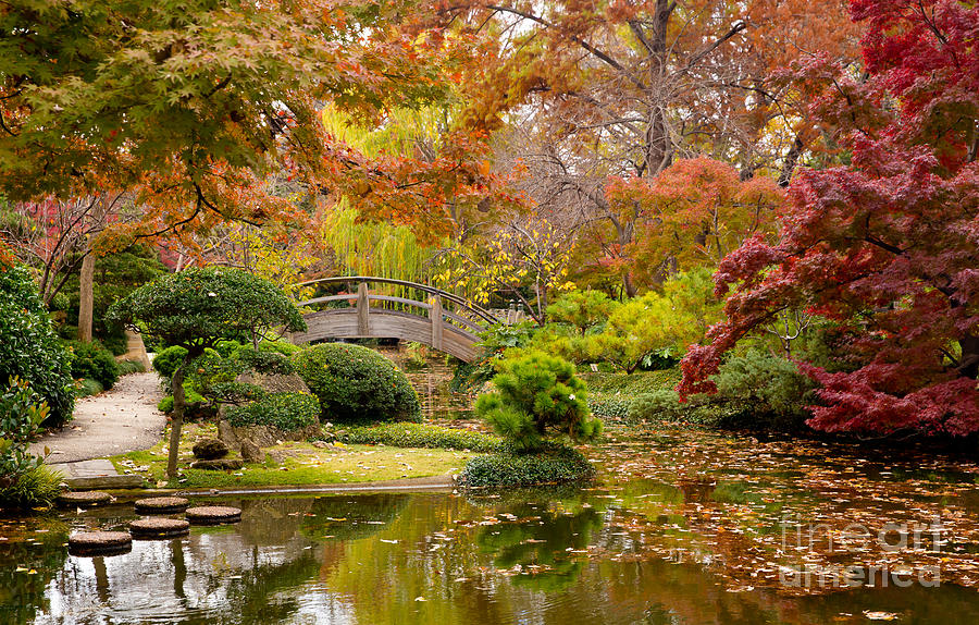 Fall Upon the Moon Bridge Photograph by Bridget Calip - Fine Art America