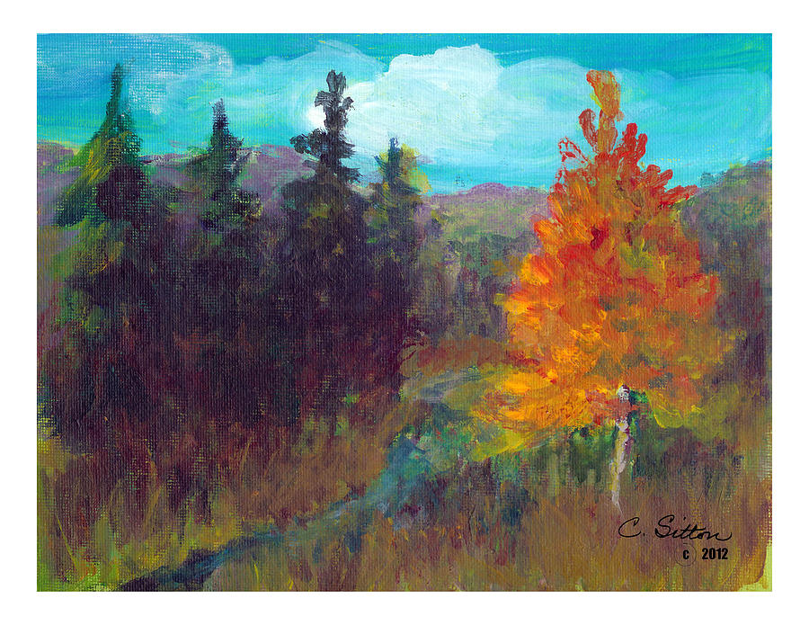 Fall View Painting by C Sitton