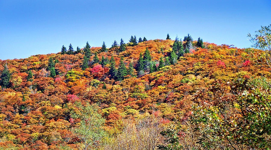 Fall view from hwy215 near Devils Courthouse Rock Photograph by Duane McCullough