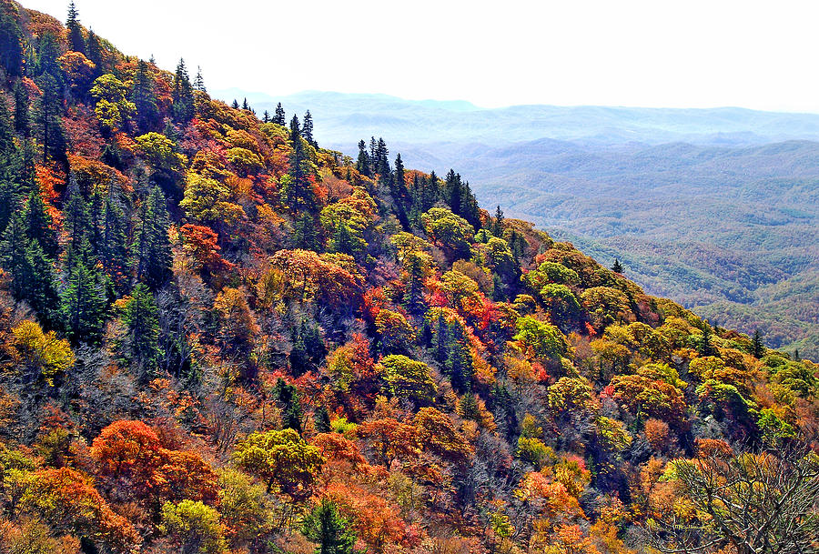 Fall view near Devils Courthouse Rock Photograph by Duane McCullough