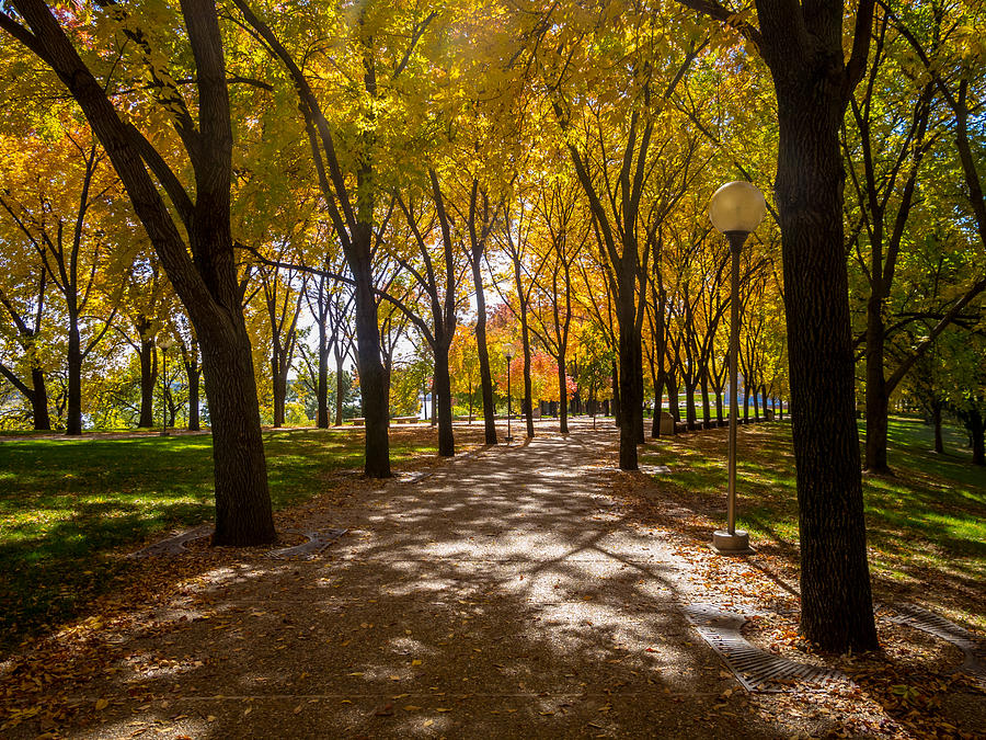 Fall Walk Photograph by David Coblitz