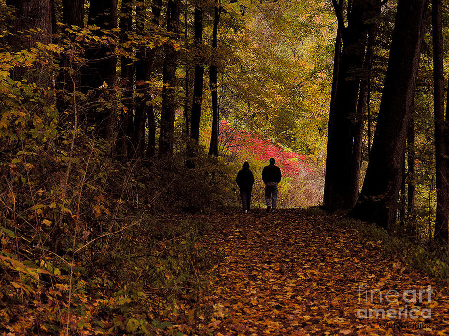 Fall Walk Photograph by Tom Griffithe