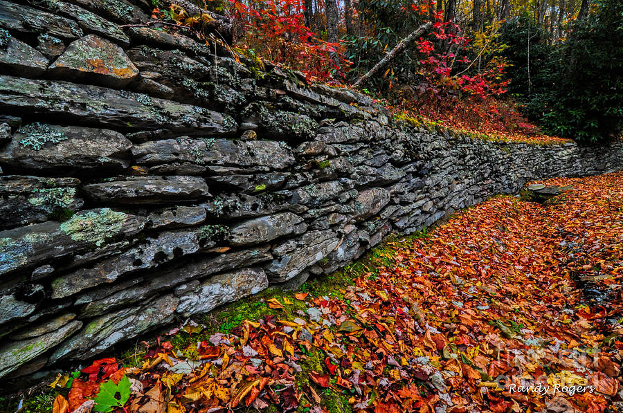 Fall Wall Photograph by Randy Rogers