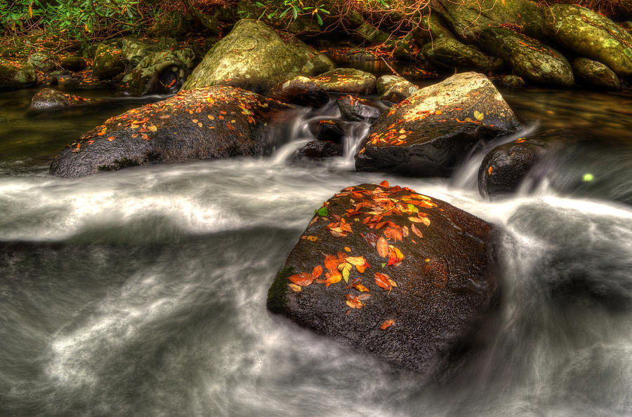 Fall Water Photograph by Greg and Chrystal Mimbs