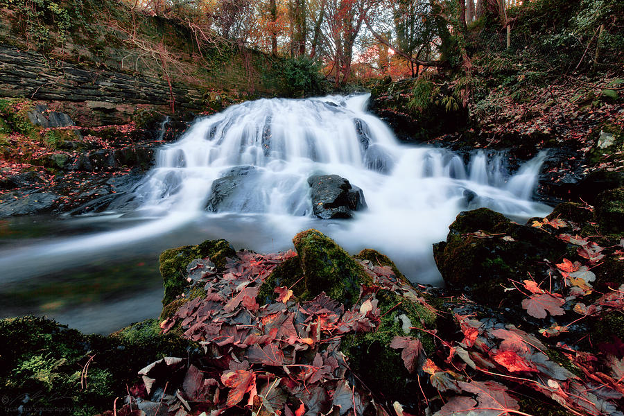 Fall waterfall Photograph by B Cash