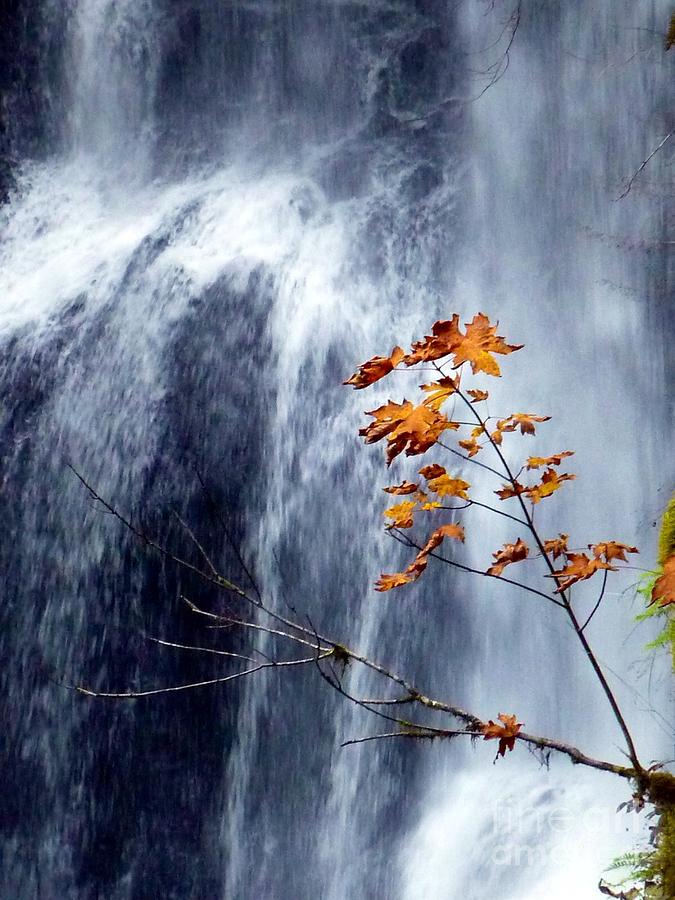 Fall Waterfall  Photograph by Susan Garren