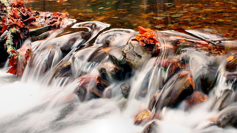 Fall waters Photograph by Carol Montoya