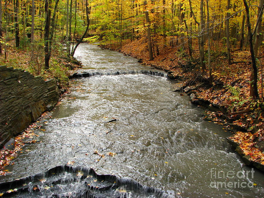 Fall Photograph - Fall Waters by Michael Krek