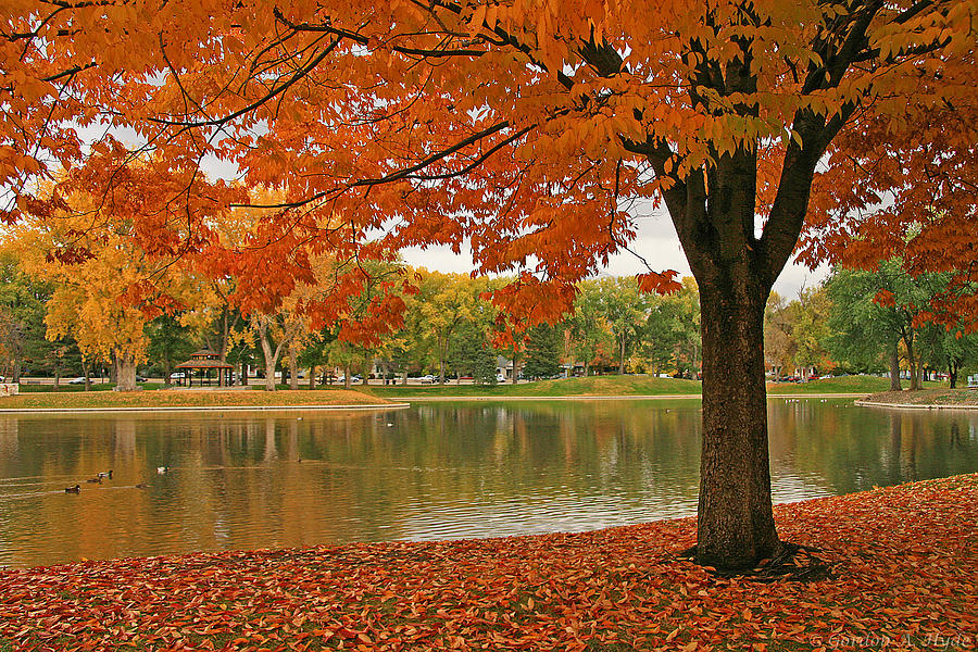 Fall Window Photograph by Gordon Hyde