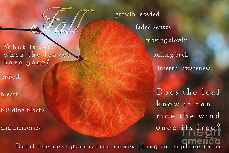 Fall Words and Colors Digital Art by Lisa Redfern