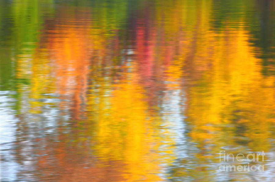 Fallcolor In Water Photograph by Charline Xia