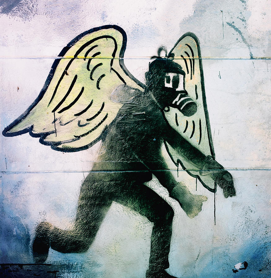 Feather Still Life Photograph - Fallen angel .. by A Rey